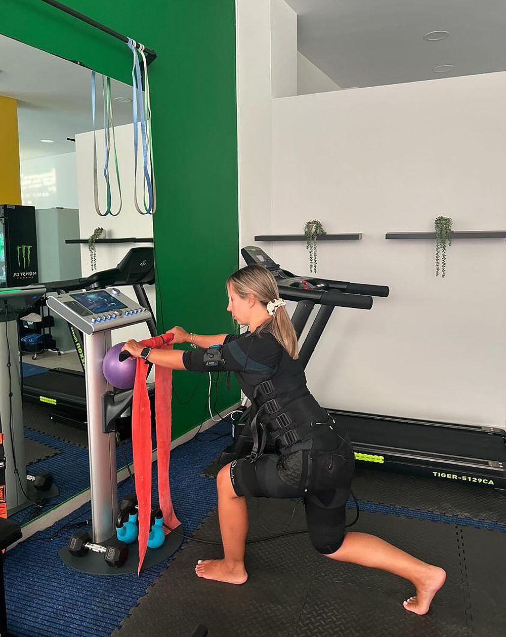 miha bodytec